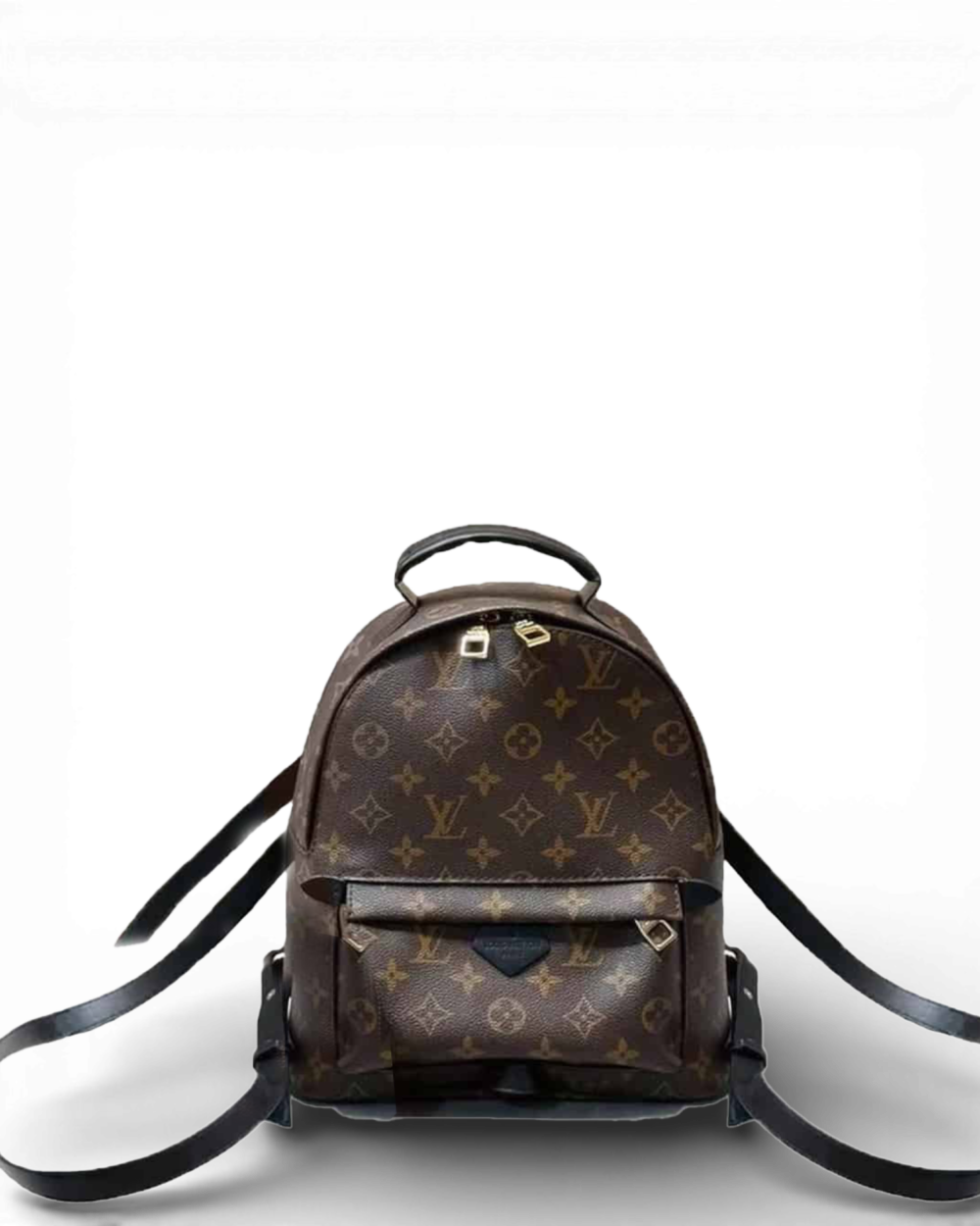 Louis Vuitton Brown Monogram Canvas Palm Springs