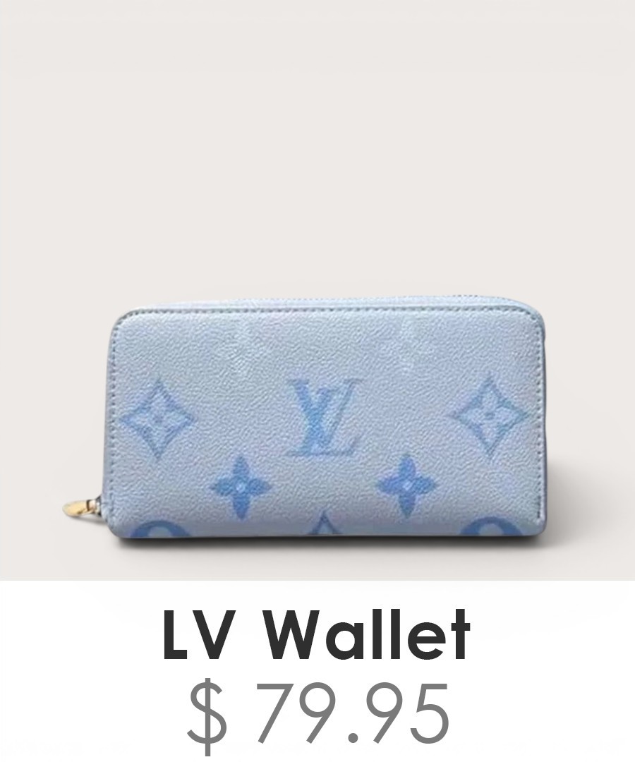 Louis Vuitton Wallet - WL029