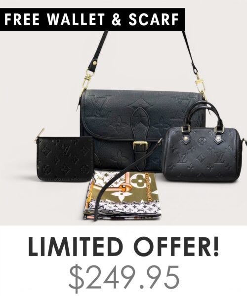 Bag + Nano speedy + Gifts (Free LV Wallet + Free LV Silk Scarf)