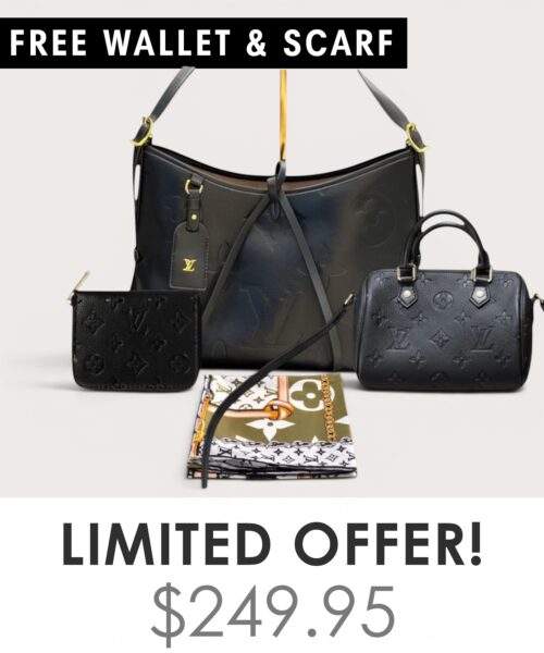 Bag + Nano speedy + Gifts (Free LV Wallet + Free LV Silk Scarf)