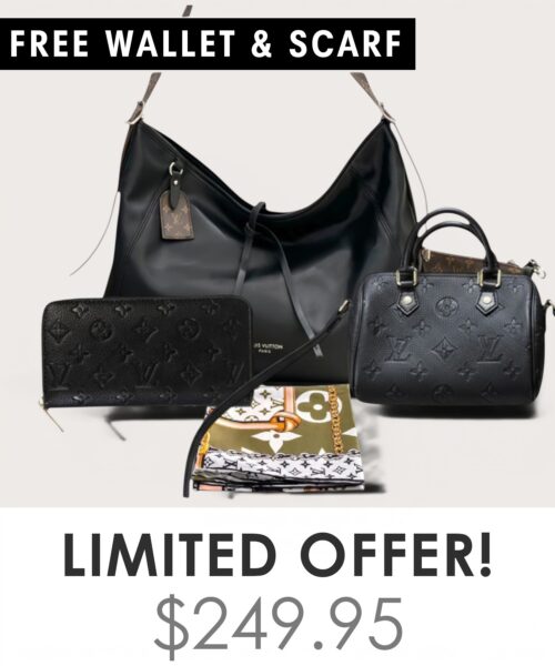 Bag + Nano speedy + Gifts (Free LV Wallet + Free LV Silk Scarf)