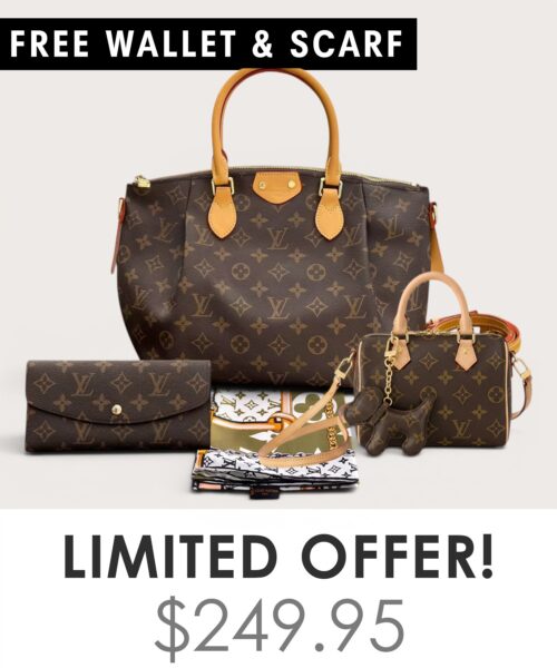 Bag + Nano speedy + Gifts (Free LV Wallet + Free LV Silk Scarf)