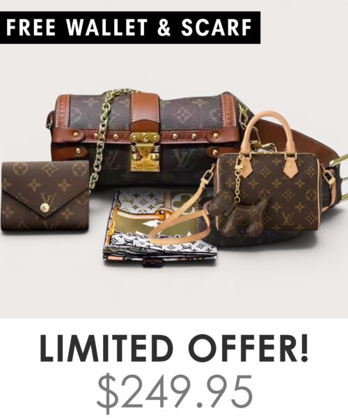 Bag + Nano speedy + Gifts (Free LV Wallet + Free LV Silk Scarf)