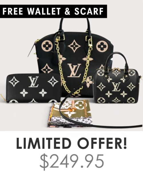 Bag + Nano speedy + Gifts (Free LV Wallet + Free LV Silk Scarf)