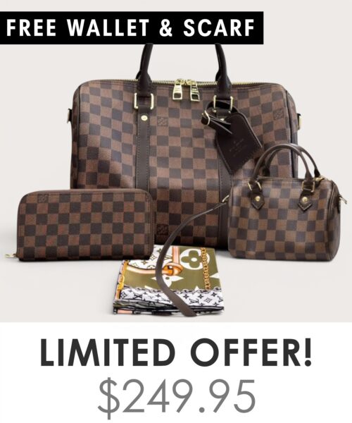 Bag + Nano speedy + Gifts (Free LV Wallet + Free LV Silk Scarf)