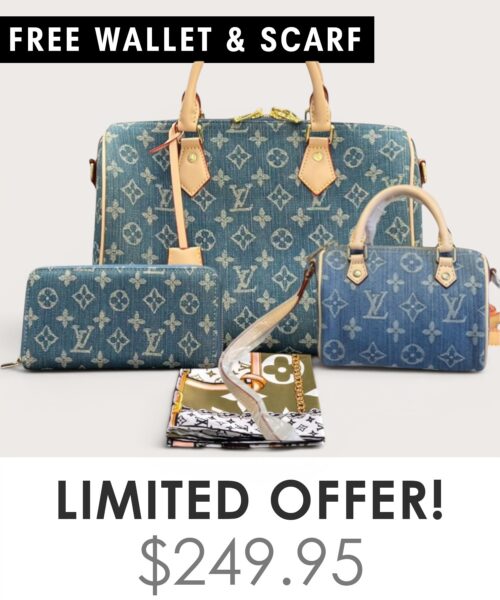 Bag + Nano speedy + Gifts (Free LV Wallet + Free LV Silk Scarf)