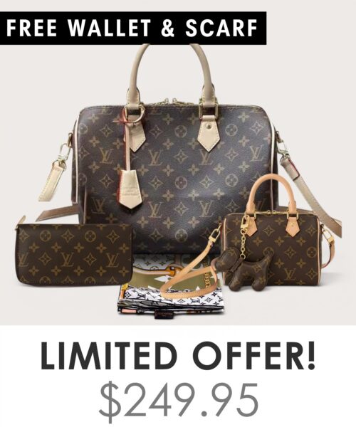 Bag + Nano speedy + Gifts (Free LV Wallet + Free LV Silk Scarf)