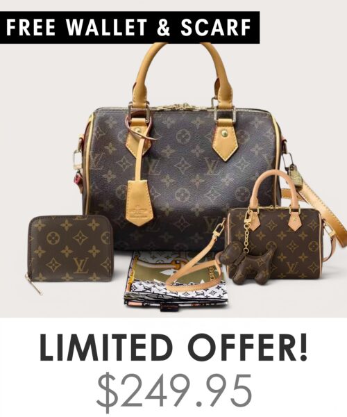 Bag + Nano speedy + Gifts (Free LV Wallet + Free LV Silk Scarf)