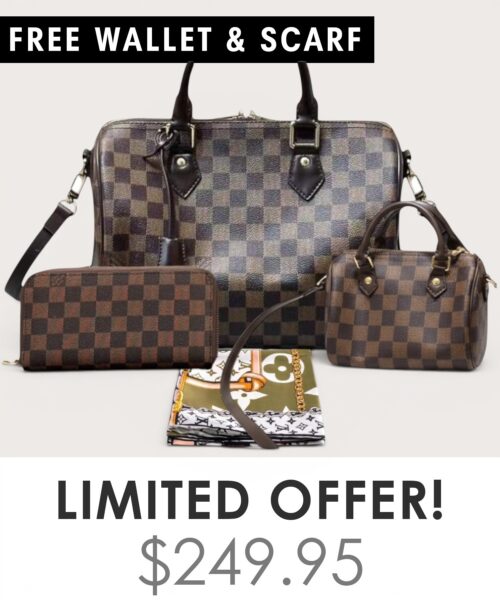 Bag + Nano speedy + Gifts (Free LV Wallet + Free LV Silk Scarf)