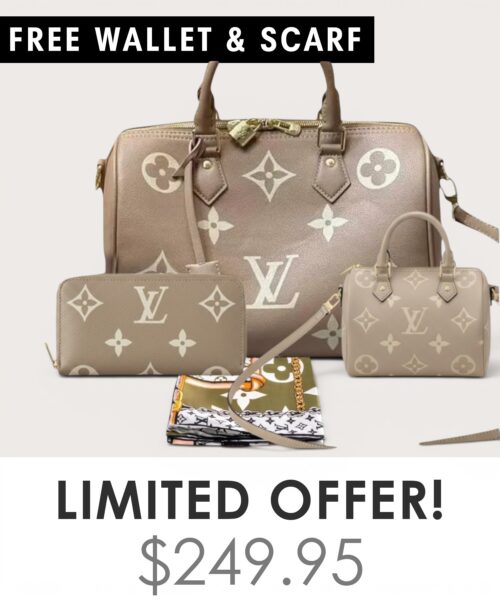 Bag + Nano speedy + Gifts (Free LV Wallet + Free LV Silk Scarf)