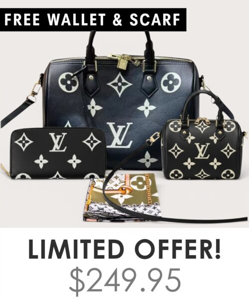 Bag + Nano speedy + Gifts (Free LV Wallet + Free LV Silk Scarf)