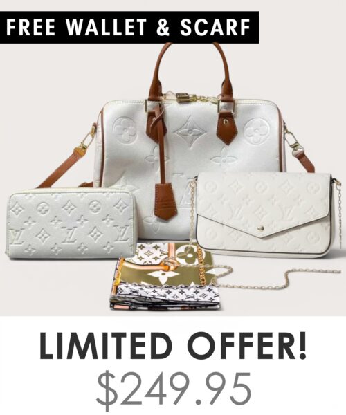 Bag + Pochette Felicie + Gifts(Free LV Wallet + Free LV Silk Scarf)