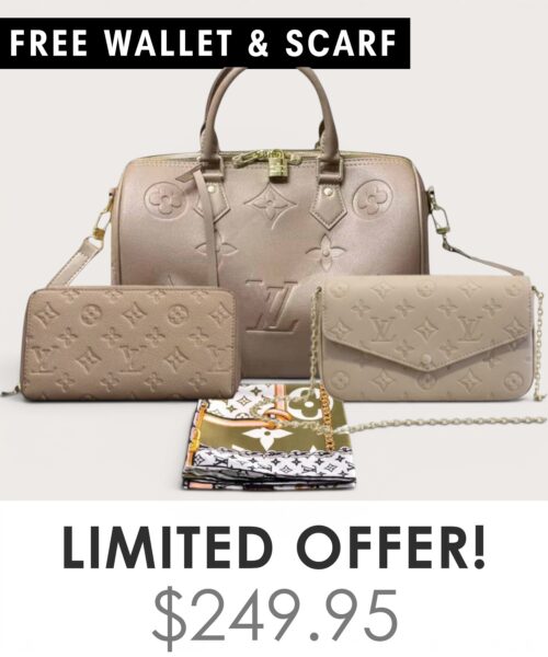 Bag + Pochette Felicie + Gifts(Free LV Wallet + Free LV Silk Scarf)