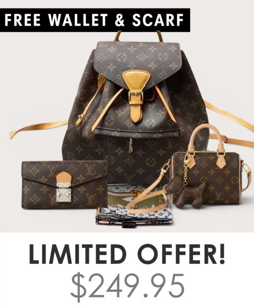 Bag + Nano speedy + Gifts (Free LV Wallet + Free LV Silk Scarf)