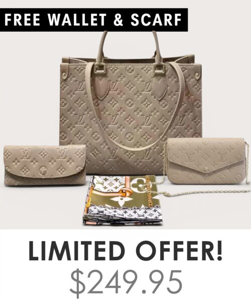 Bag + Pochette Felicie + Gifts(Free LV Wallet + Free LV Silk Scarf)