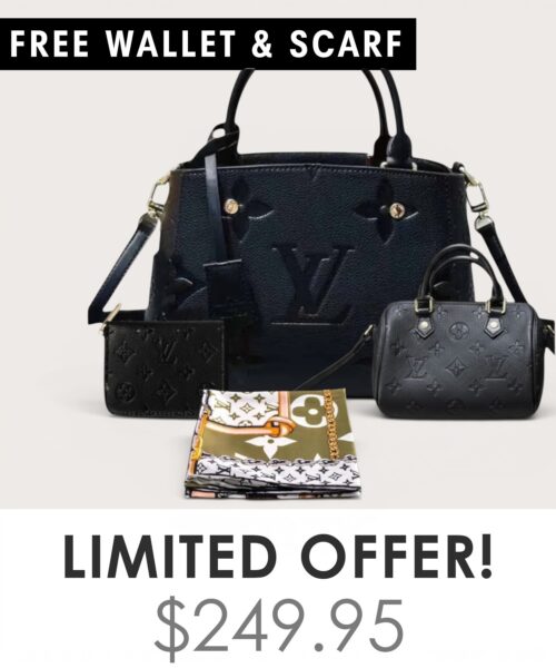 Bag + Nano speedy + Gifts (Free LV Wallet + Free LV Silk Scarf)
