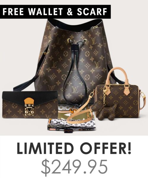 Bag + Nano speedy + Gifts (Free LV Wallet + Free LV Silk Scarf)