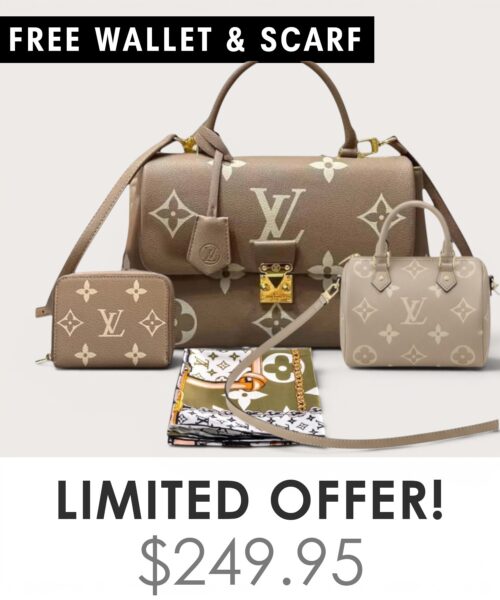 Bag + Nano speedy + Gifts (Free LV Wallet + Free LV Silk Scarf)