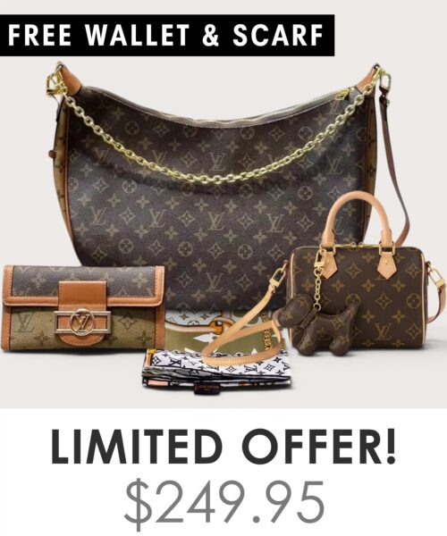 Bag + Nano speedy + Gifts (Free LV Wallet + Free LV Silk Scarf)
