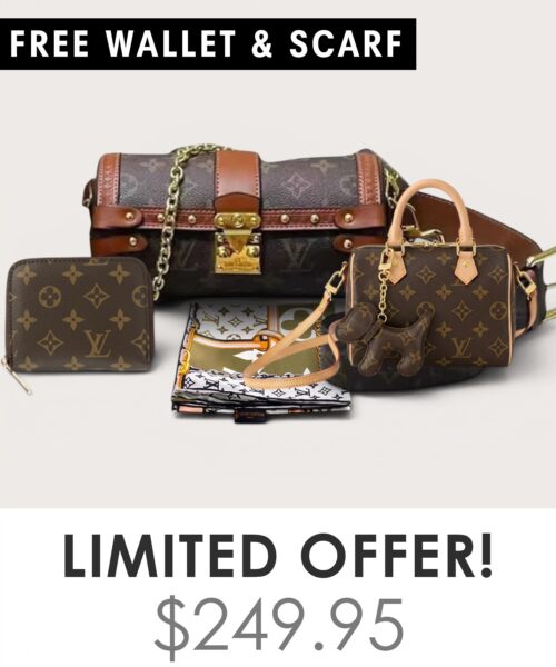 Bag + Nano speedy + Gifts (Free LV Wallet + Free LV Silk Scarf)