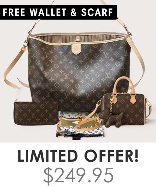Bag + Nano speedy + Gifts (Free LV Wallet + Free LV Silk Scarf)