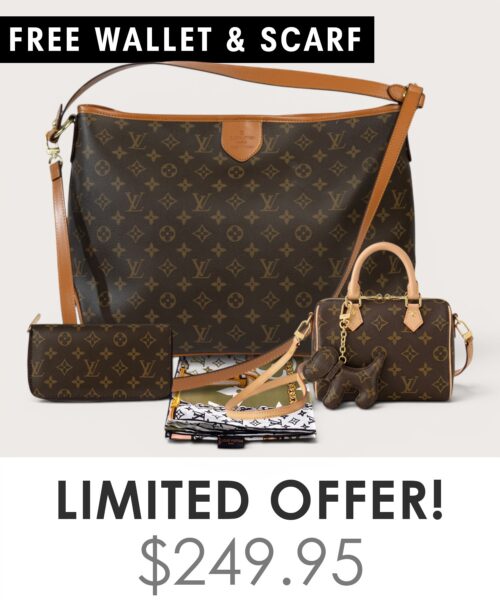 Bag + Nano speedy + Gifts (Free LV Wallet + Free LV Silk Scarf)