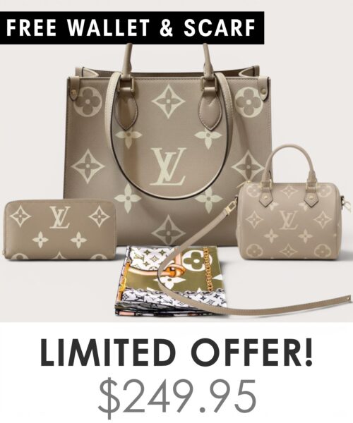 Bag + Nano speedy + Gifts (Free LV Wallet + Free LV Silk Scarf)