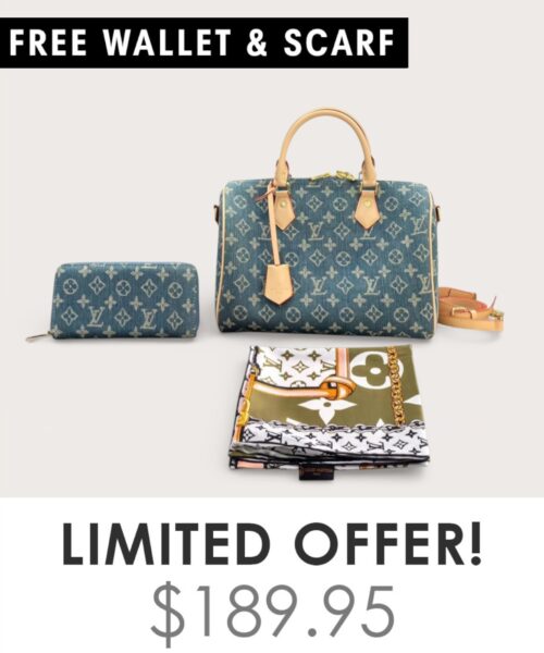 Bag + Gifts (FREE LV Wallet & FREE LV Scarf)