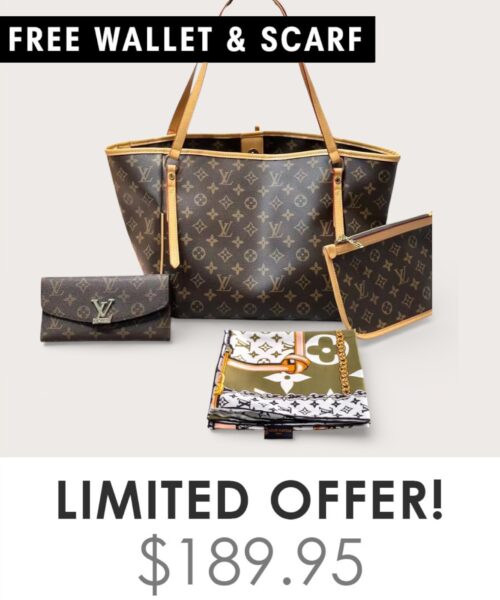 Bag + Gifts (FREE LV Wallet & FREE LV Scarf)