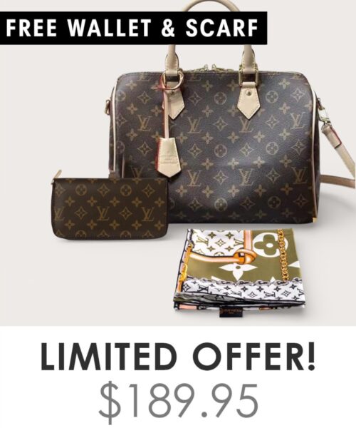 Bag + Gifts (FREE LV Wallet & FREE LV Scarf)