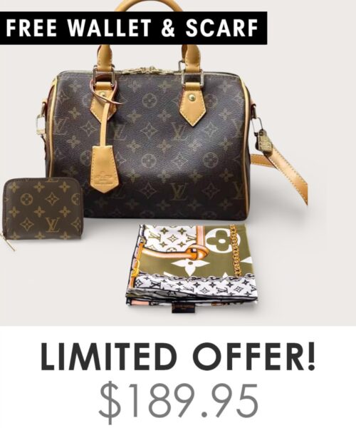 Bag + Gifts (FREE LV Wallet & FREE LV Scarf)