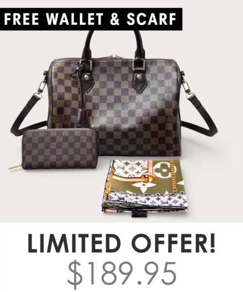 Bag + Gifts (FREE LV Wallet & FREE LV Scarf)