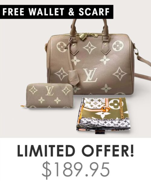 Bag + Gifts (FREE LV Wallet & FREE LV Scarf)