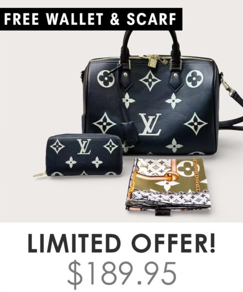 Bag + Gifts (FREE LV Wallet & FREE LV Scarf)