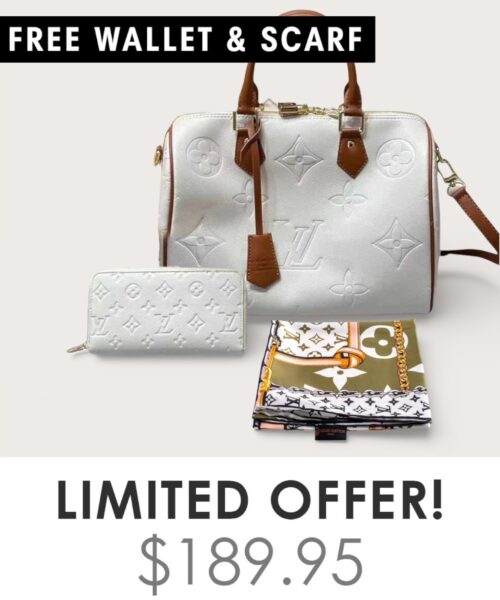 Bag + Gifts (FREE LV Wallet & FREE LV Scarf)