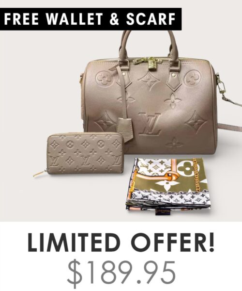 Bag + Gifts (FREE LV Wallet & FREE LV Scarf)