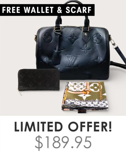 Bag + Gifts (FREE LV Wallet & FREE LV Scarf)