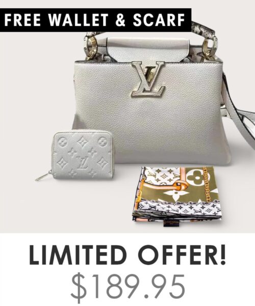 Bag + Gifts (FREE LV Wallet & FREE LV Scarf)