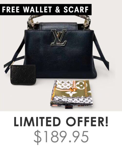 Bag + Gifts (FREE LV Wallet & FREE LV Scarf)