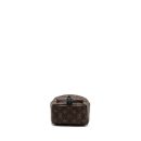 AAA Replica Louis Vuitton LV MINI PALM SPRING BACKPACK MONOGRAM CANVAS GHW