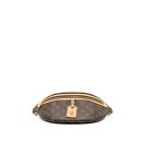 AAA Replica Louis Vuitton LV High Rise Bumbag Monogram Canvas GHW