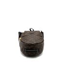 AAA Replica Louis Vuitton LV PALM SPRING BACKPACK PM MONOGRAM CANVAS GHW