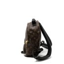 AAA Replica Louis Vuitton LV PALM SPRING BACKPACK PM MONOGRAM CANVAS GHW