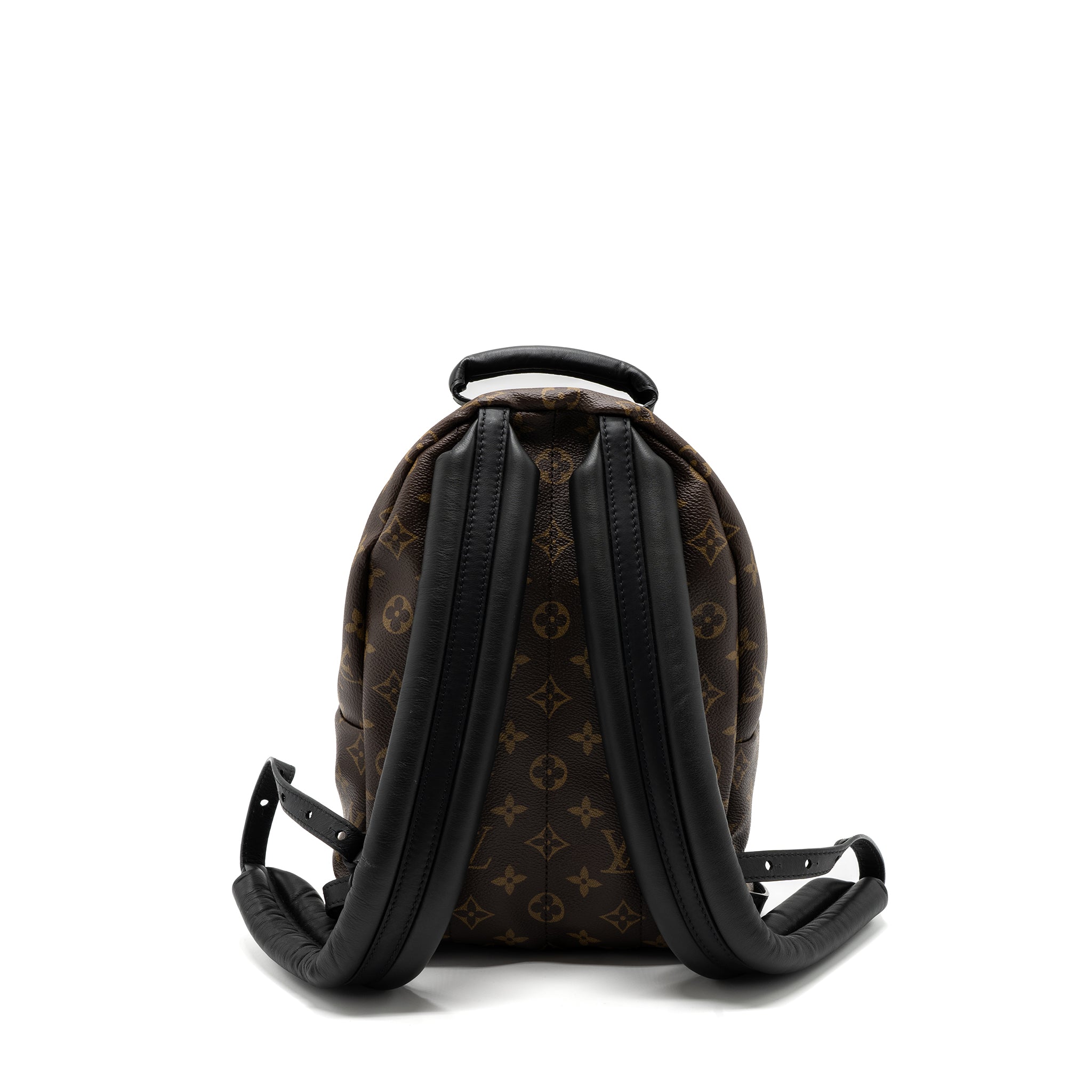 AAA Replica Louis Vuitton LV PALM SPRING BACKPACK PM MONOGRAM CANVAS GHW