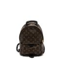AAA Replica Louis Vuitton LV PALM SPRING BACKPACK PM MONOGRAM CANVAS GHW