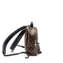 AAA Replica Louis Vuitton LV PALM SPRING PM BACKPACK MONOGRAM CANVAS GHW
