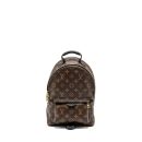 AAA Replica Louis Vuitton LV PALM SPRING PM BACKPACK MONOGRAM CANVAS GHW