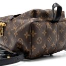 AAA Replica Louis Vuitton LV PALM SPRING PM BACKPACK MONOGRAM CANVAS GHW