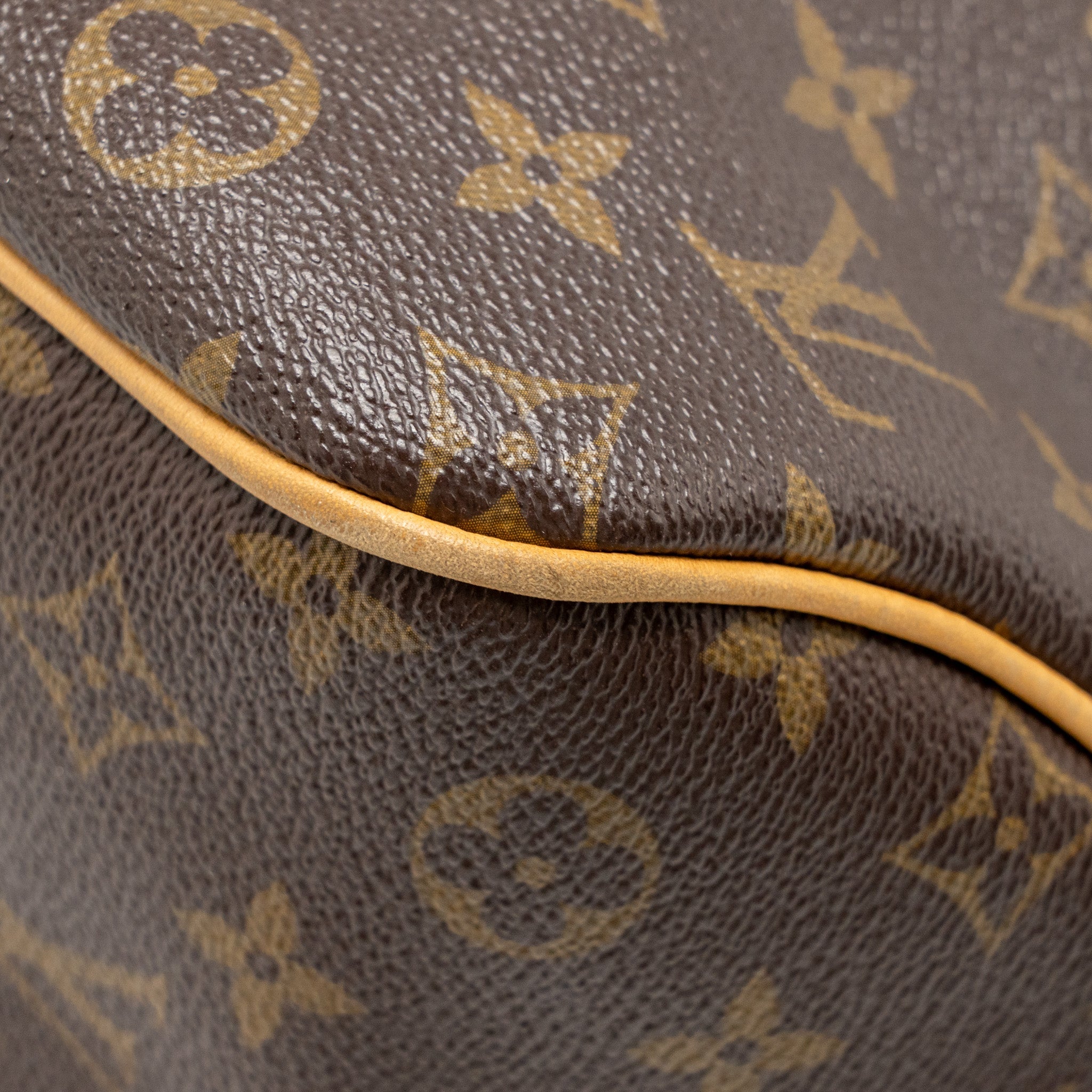 AAA Replica Louis Vuitton LV DELIGHTFUL TOTE BAG MONOGRAM CANVAS GHW