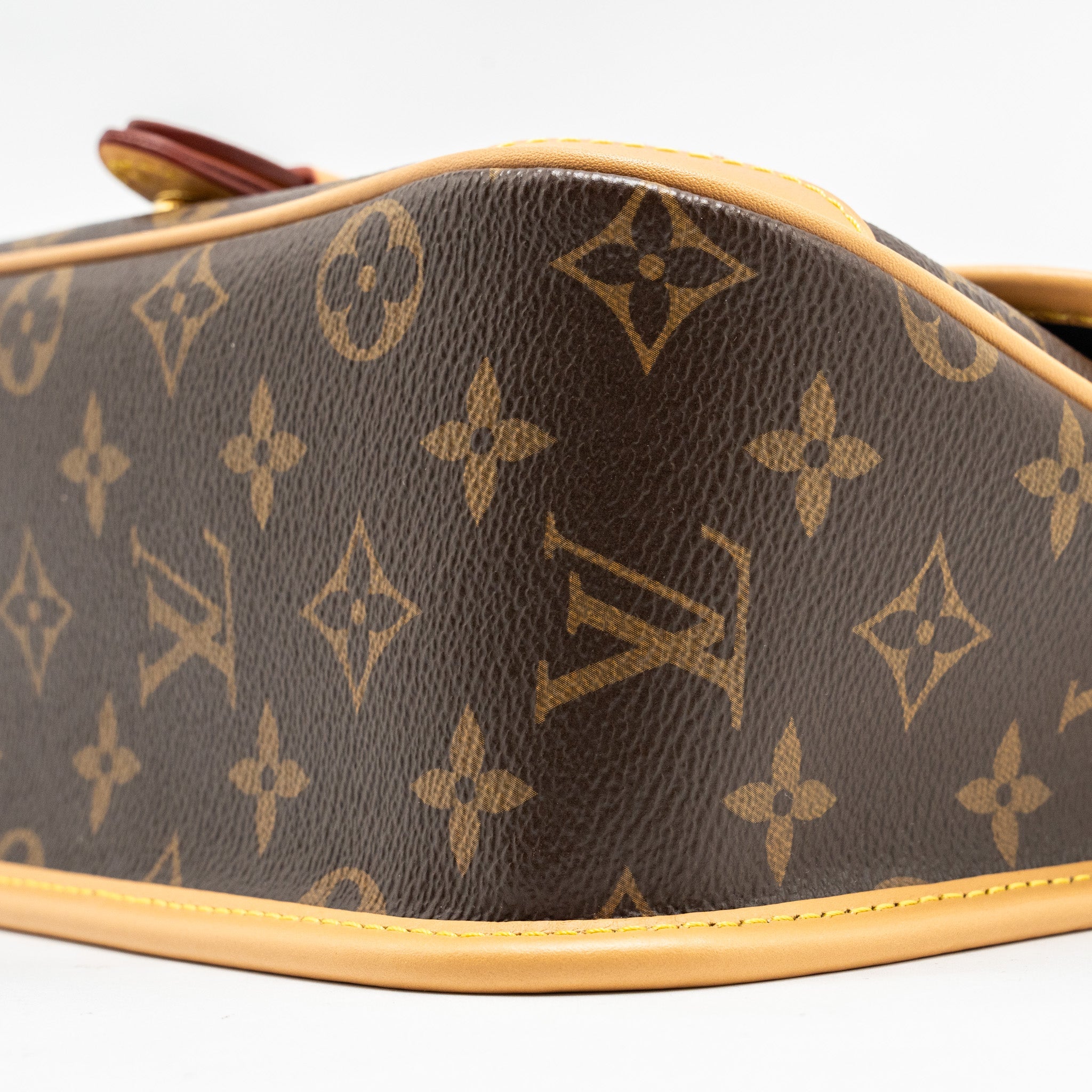 AAA Replica Louis Vuitton LV DIANE BAG WITH JACQUARD STRAP MONOGRAM CANVAS GHW